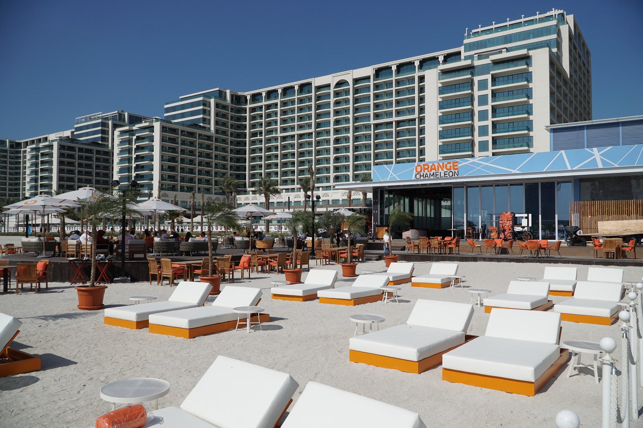 Orange Chameleon Palm