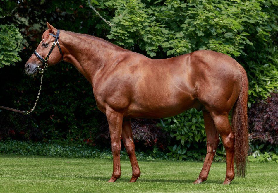 Best things to do in September 2025: Dubai plan your calendar Dumitru